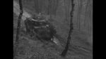 Germany: ADC-2713 - Infantry under fire, Hurtgen Woods, Germany [etc]