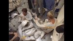 Shuttle: Astronauts Covey, Lounge, and Nelson EVA Prep/post in CCT (P1 of 2)